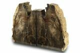 Polished Petrified Wood Bookends - Washington #274864-1